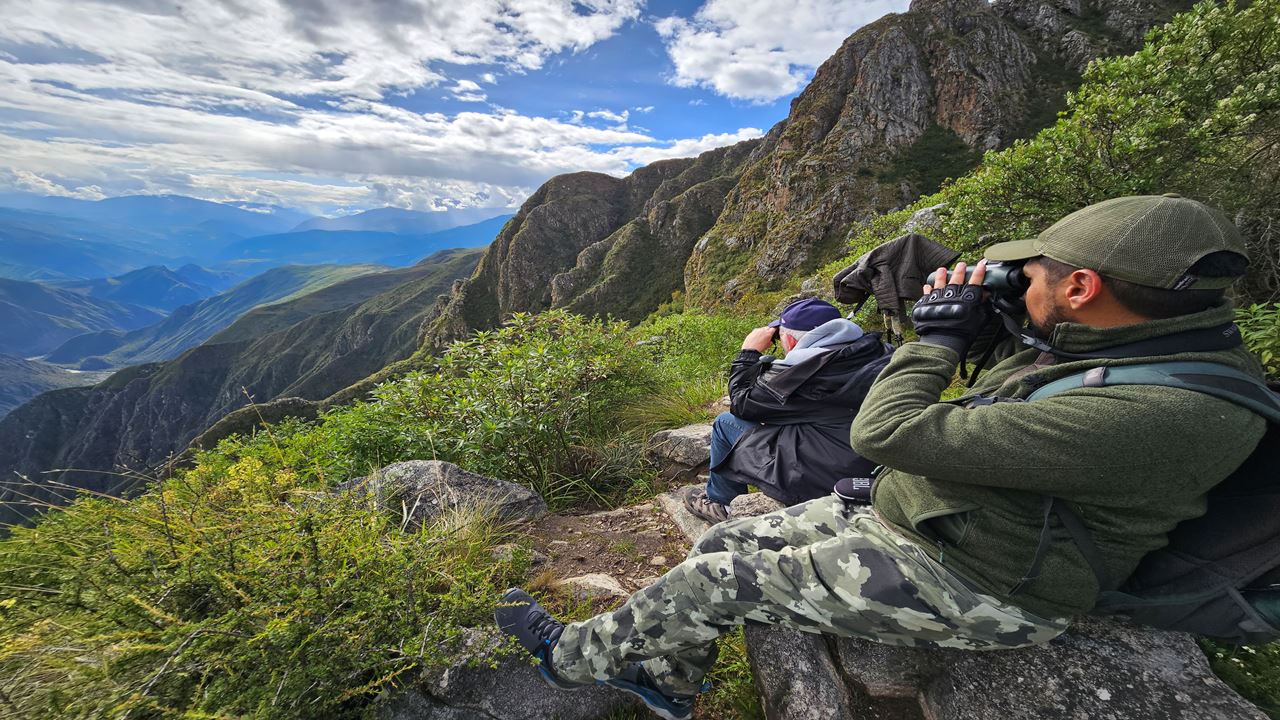 Machu Picchu Birding Tour From Ollantaytambo (5)