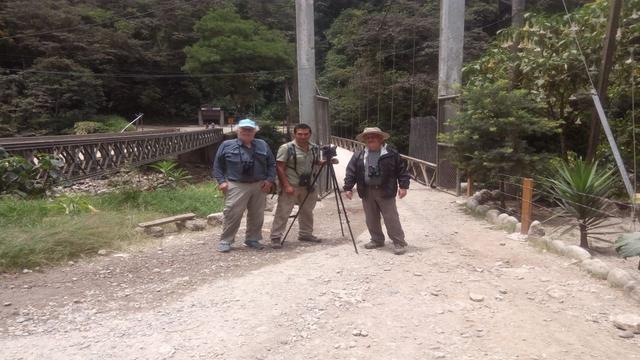Machu Picchu Birding Tour From Ollantaytambo (8)