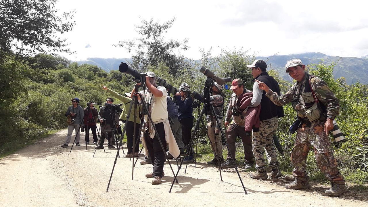 Machu Picchu Birding Tour From Ollantaytambo (3)