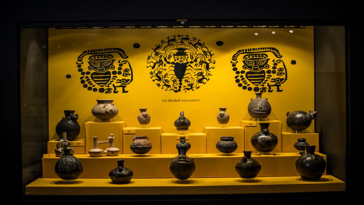 Floresta Pomac E Museu Sican foto 9