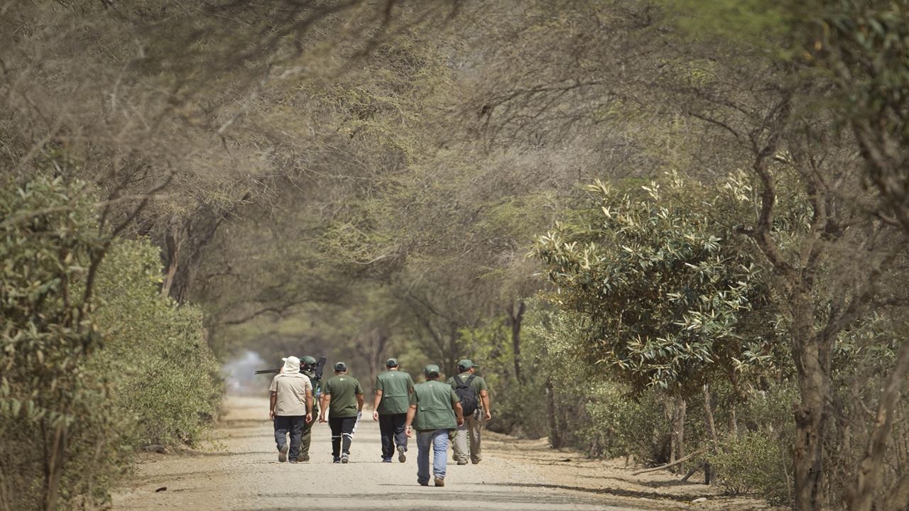 Floresta Pomac E Museu Sican foto 6