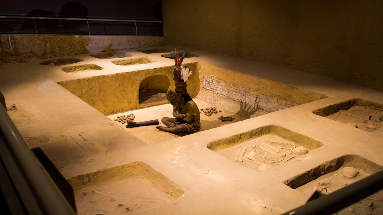 Floresta Pomac E Museu Sican foto 5