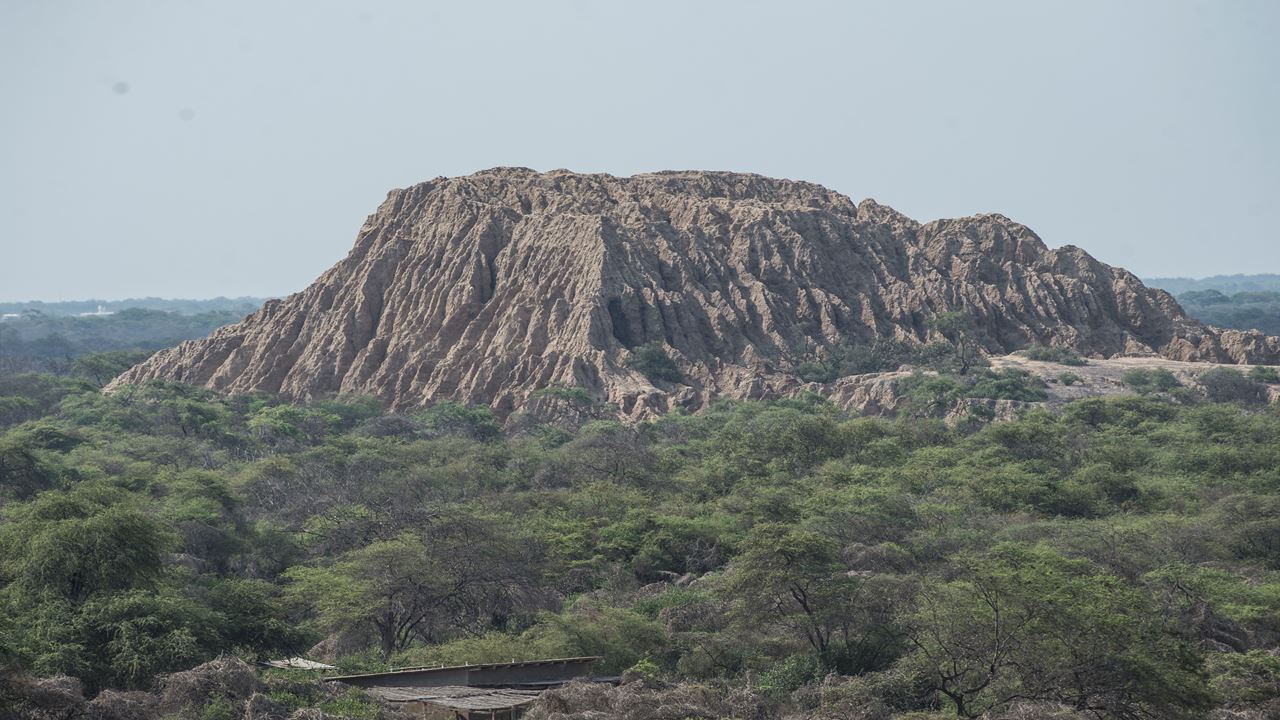 Floresta Pomac E Museu Sican foto 8