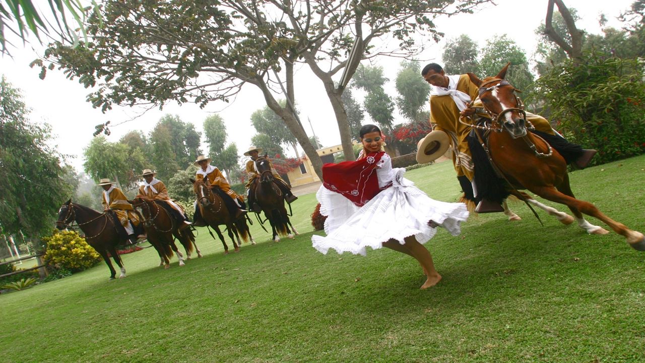 Peruvian Paso Horse & Marinera With Lunch foto 7