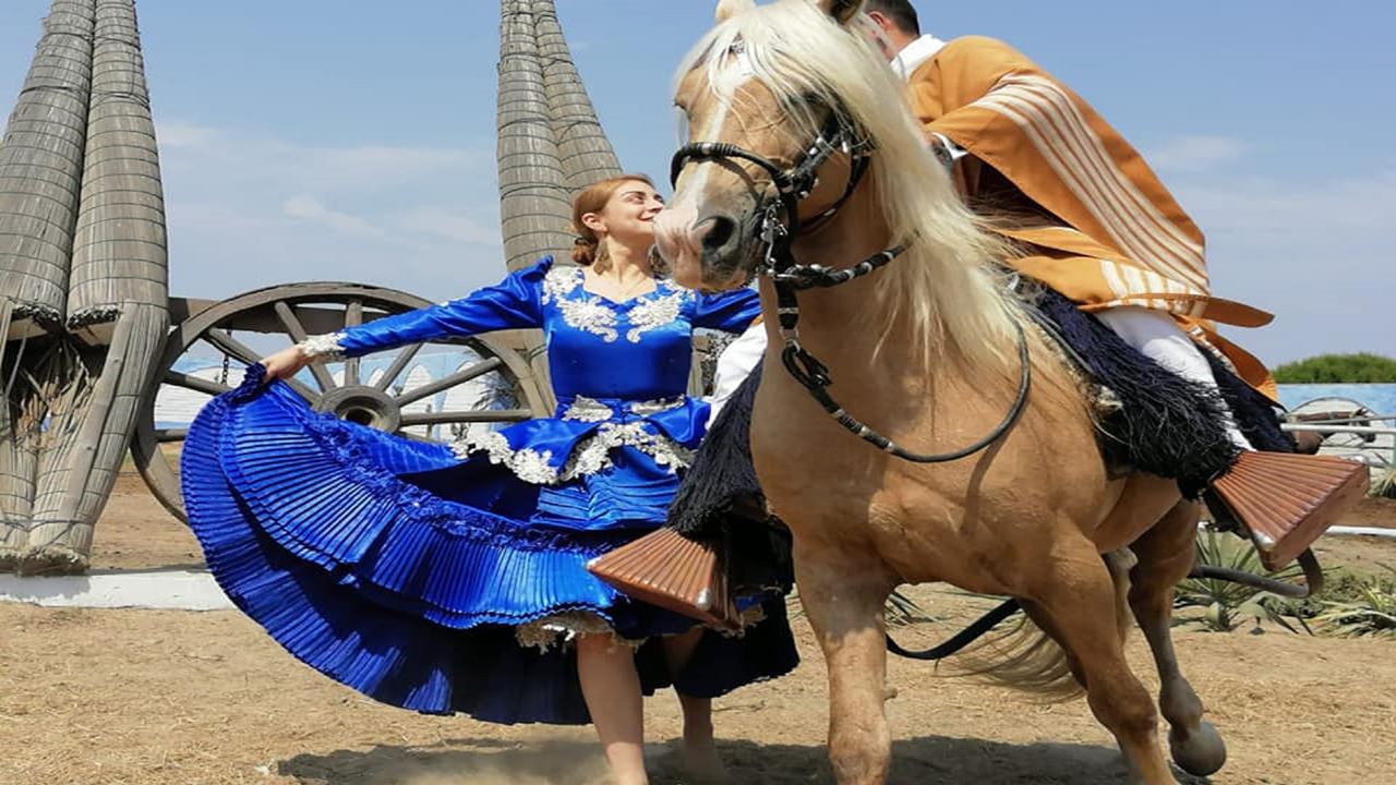 Peruvian Paso Horse & Marinera With Lunch foto 5