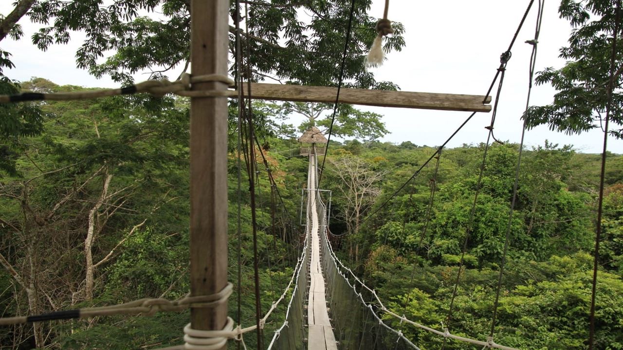 Canopy, Ponte Pênsil E Centro De Resgate De Animais foto 6