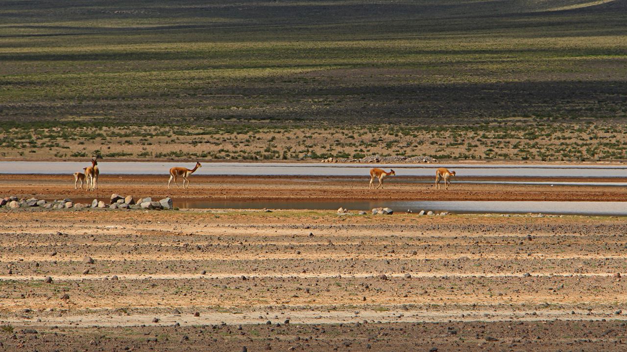 Cachoeiras Pillones E Floresta De Pedra Imata foto 6
