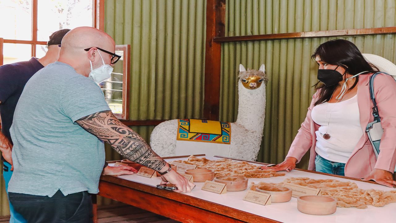 City Tour With Panoramic Bus foto 10