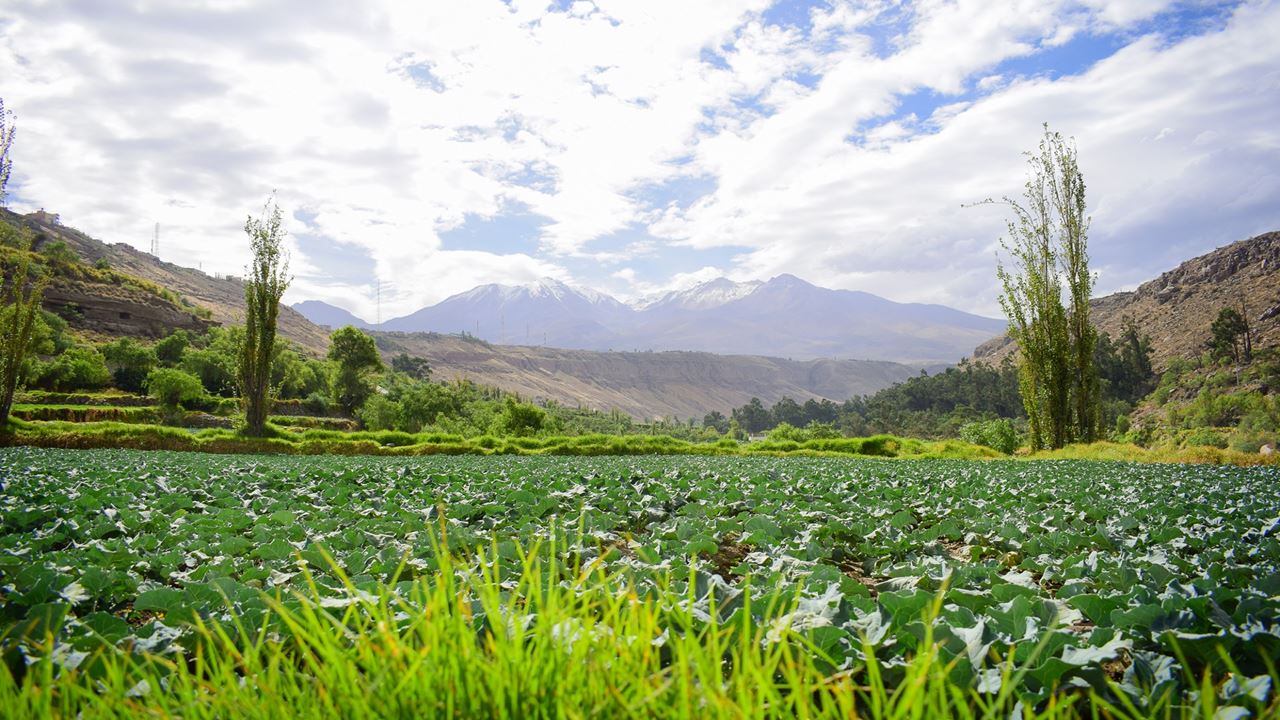 City Tour With Panoramic Bus foto 2