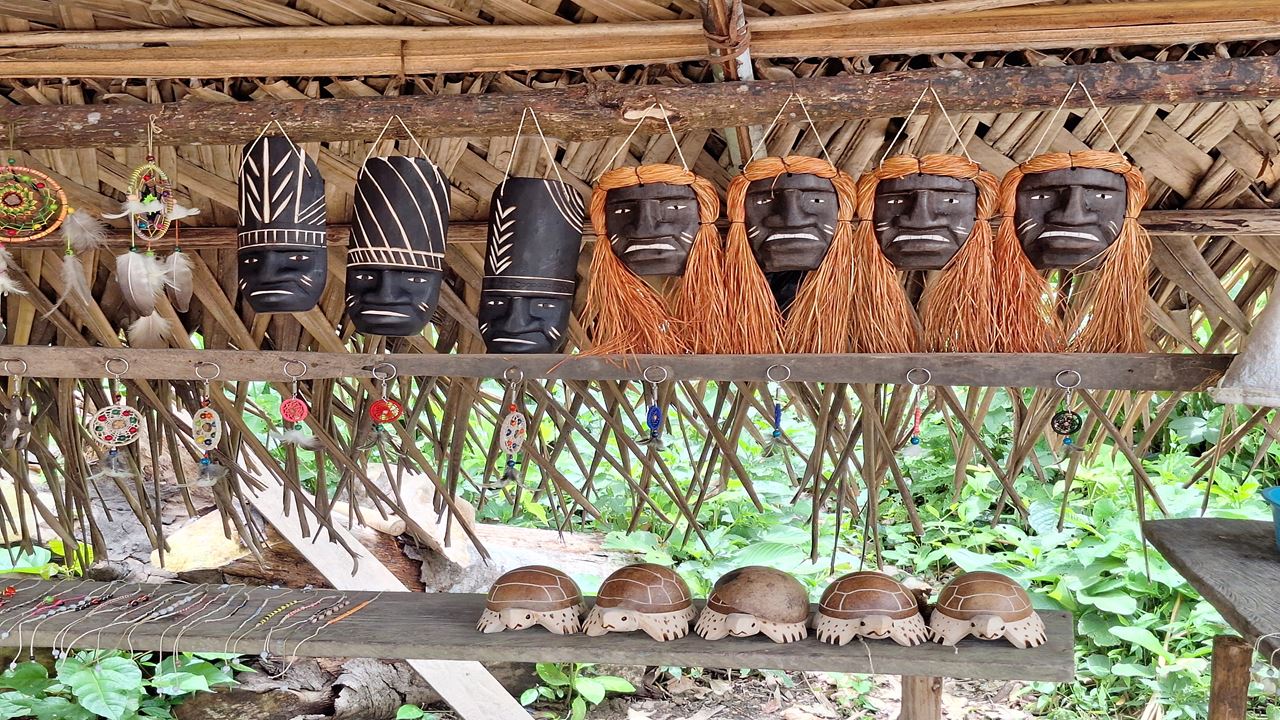 Isla De Los Monos foto 8