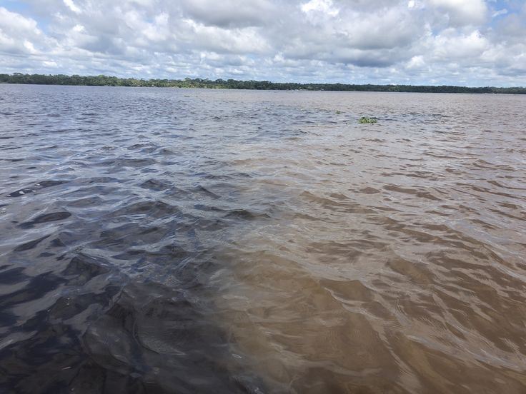 Isla De Los Monos foto 7