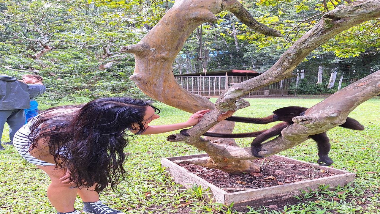 Isla De Los Monos foto 4