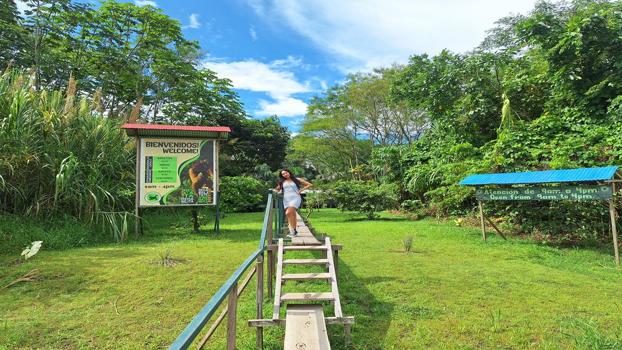 Isla De Los Monos foto 1