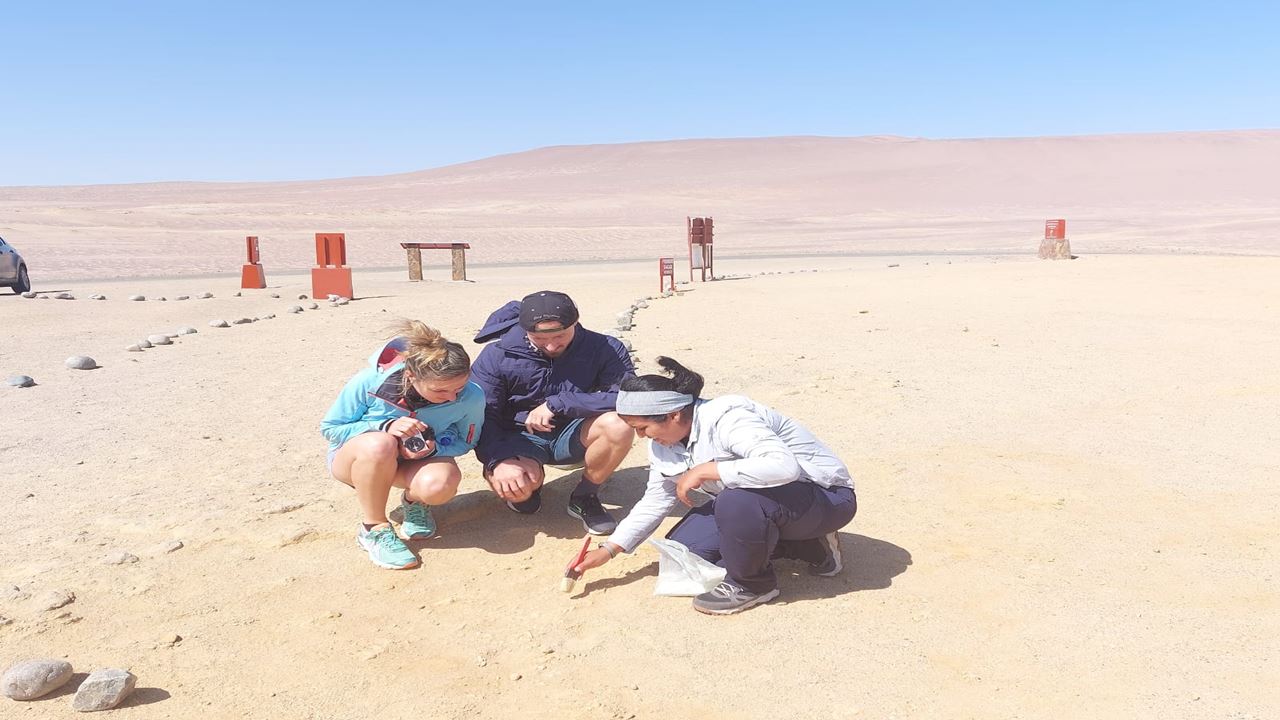 Islas Ballestas Y Reserva Nacional Desde Puerto San Martin foto 12