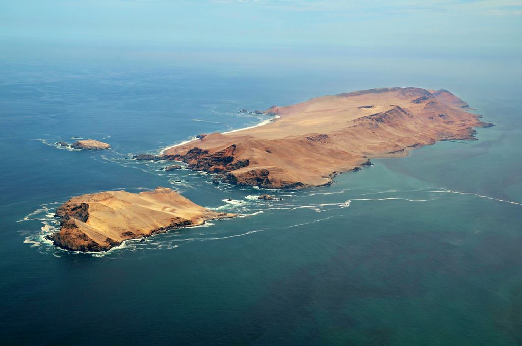 Palomino Islands Sea Lion Swimming Tour From Lima
(10)