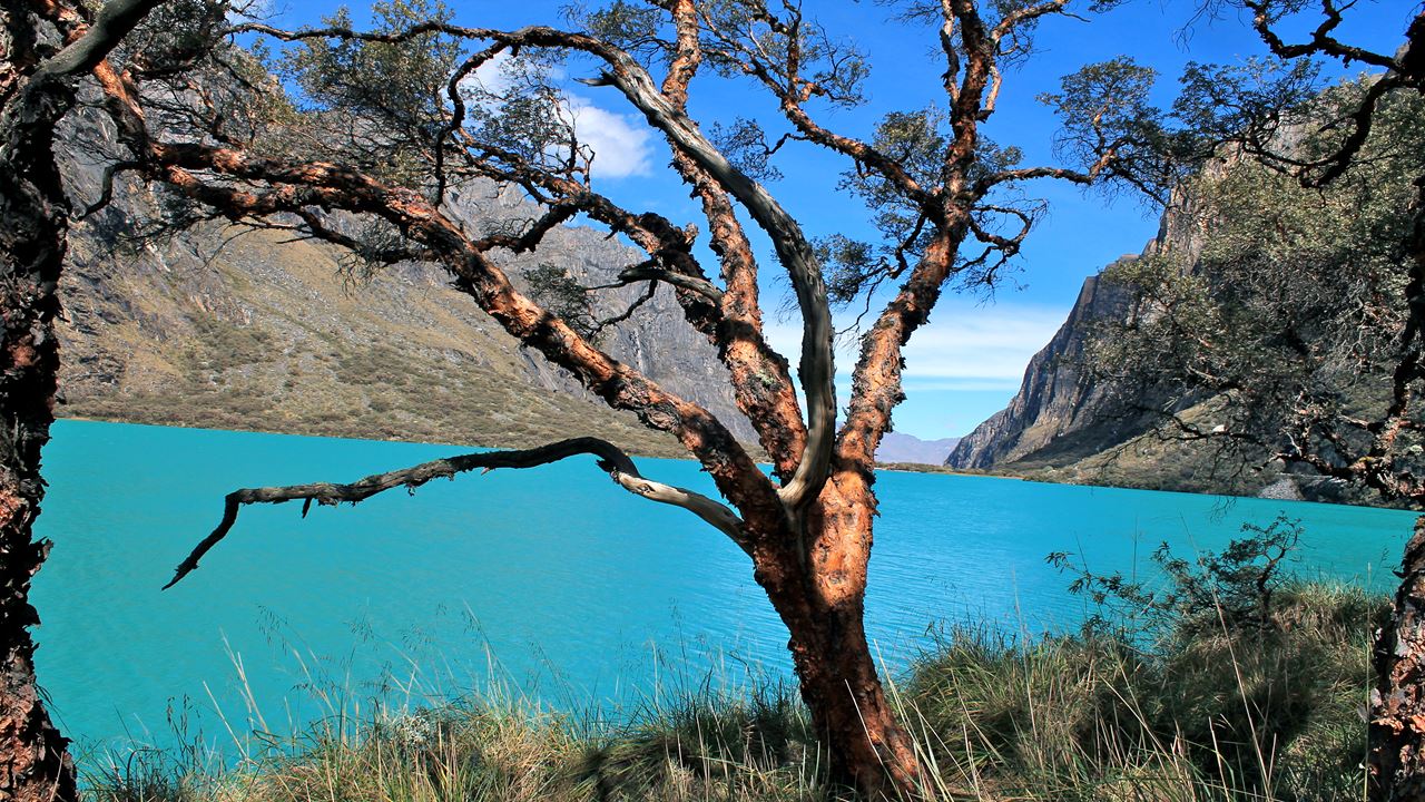 Lagoa Llanganuco foto 4