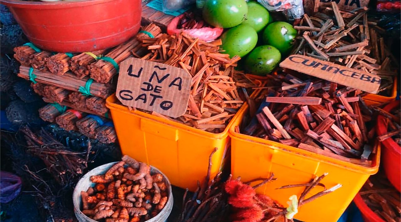 Mercado De Belém E Veneza Amazônica foto 4
