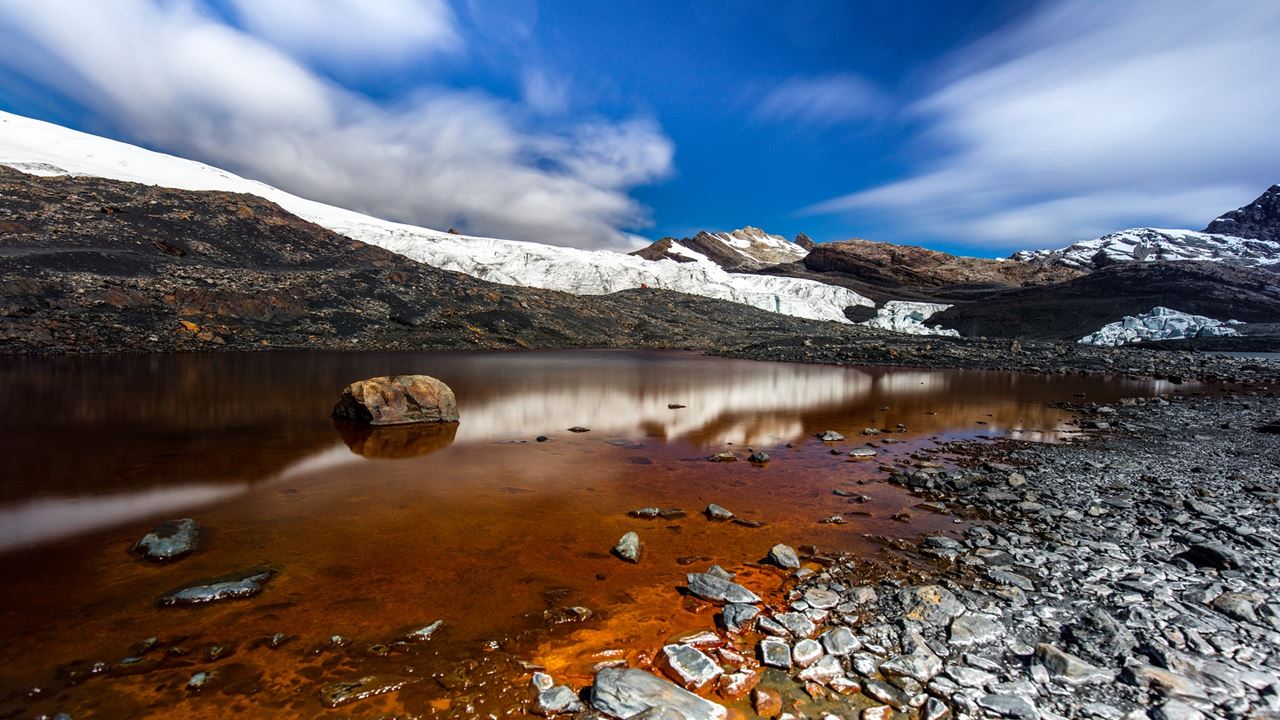 Gletscher Pastoruri Und Puya Raimondi foto 5