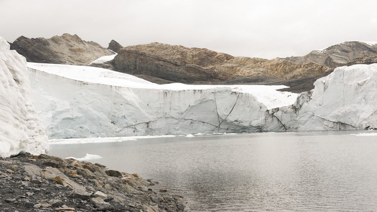 Gletscher Pastoruri Und Puya Raimondi foto 7