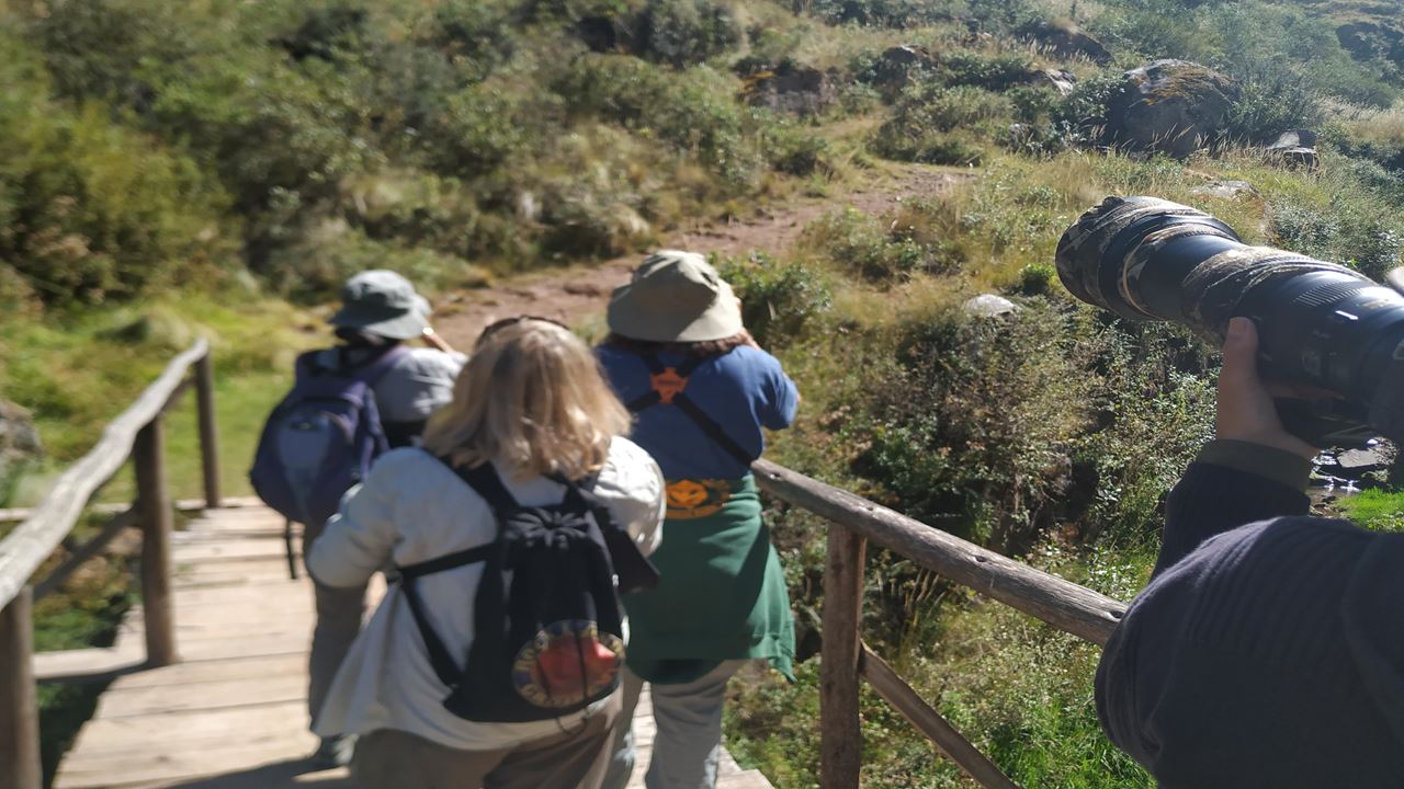 Abra Malaga Birdwatching From Ollantaytambo (5)