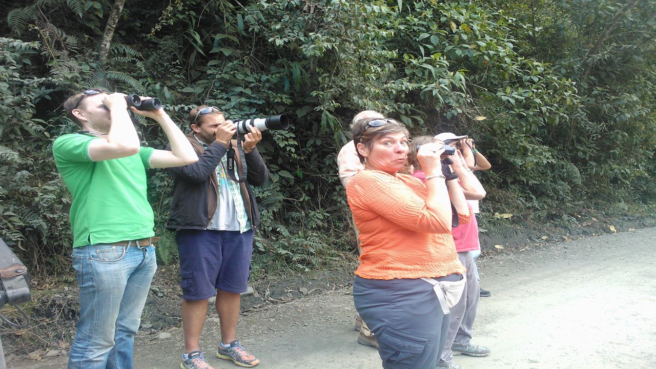 Abra Malaga Birdwatching From Ollantaytambo (8)