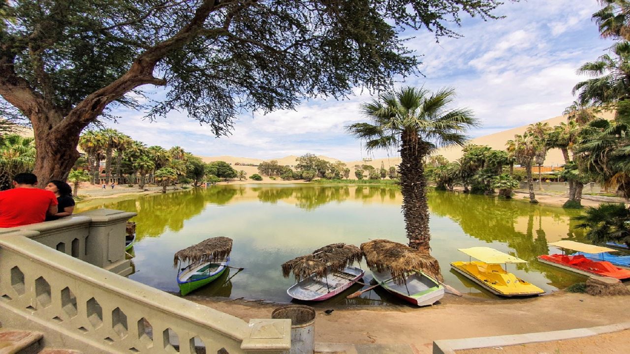 Paracas And Huacachina Oasis (6)