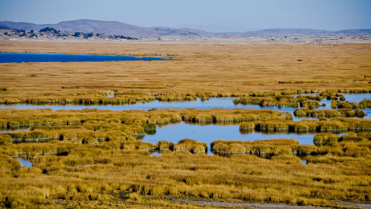 Passeio Em Bicicleta Chucuito foto 6