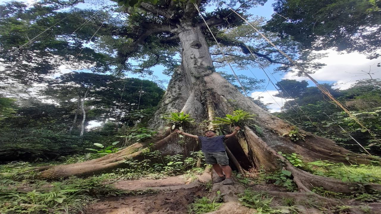 Pacaya Samiria National Reserve foto 4