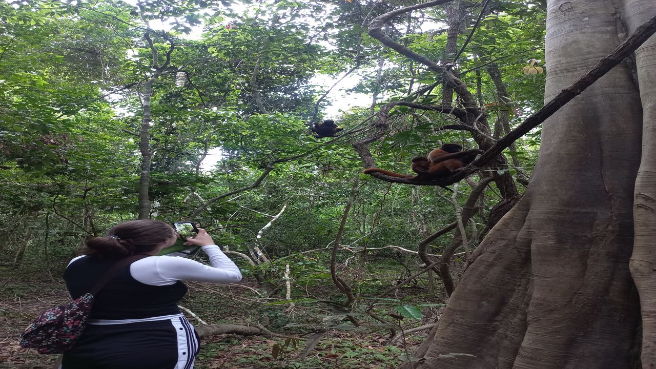 Pacaya Samiria National Reserve foto 9