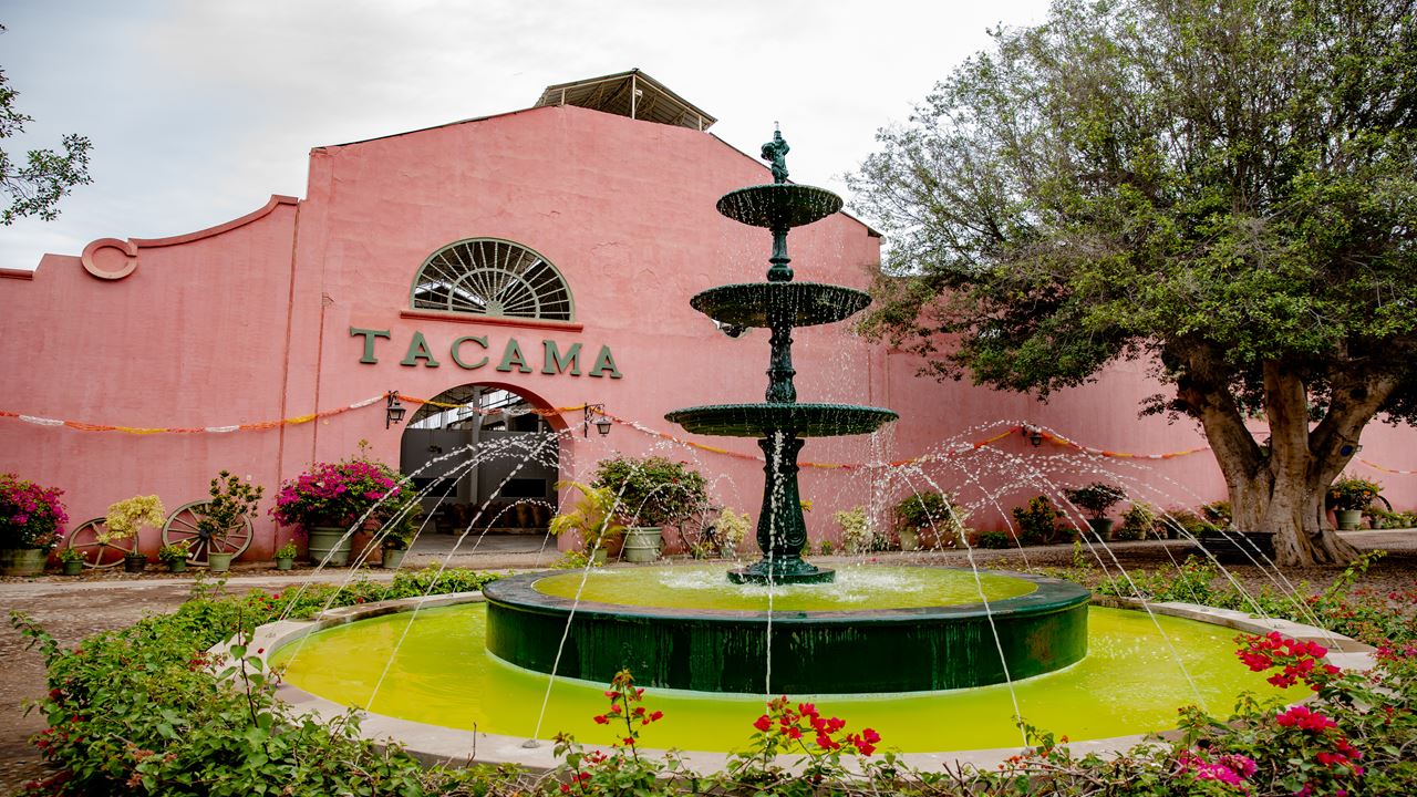 Rota Das Vinícolas E Vinhas De Pisco foto 6