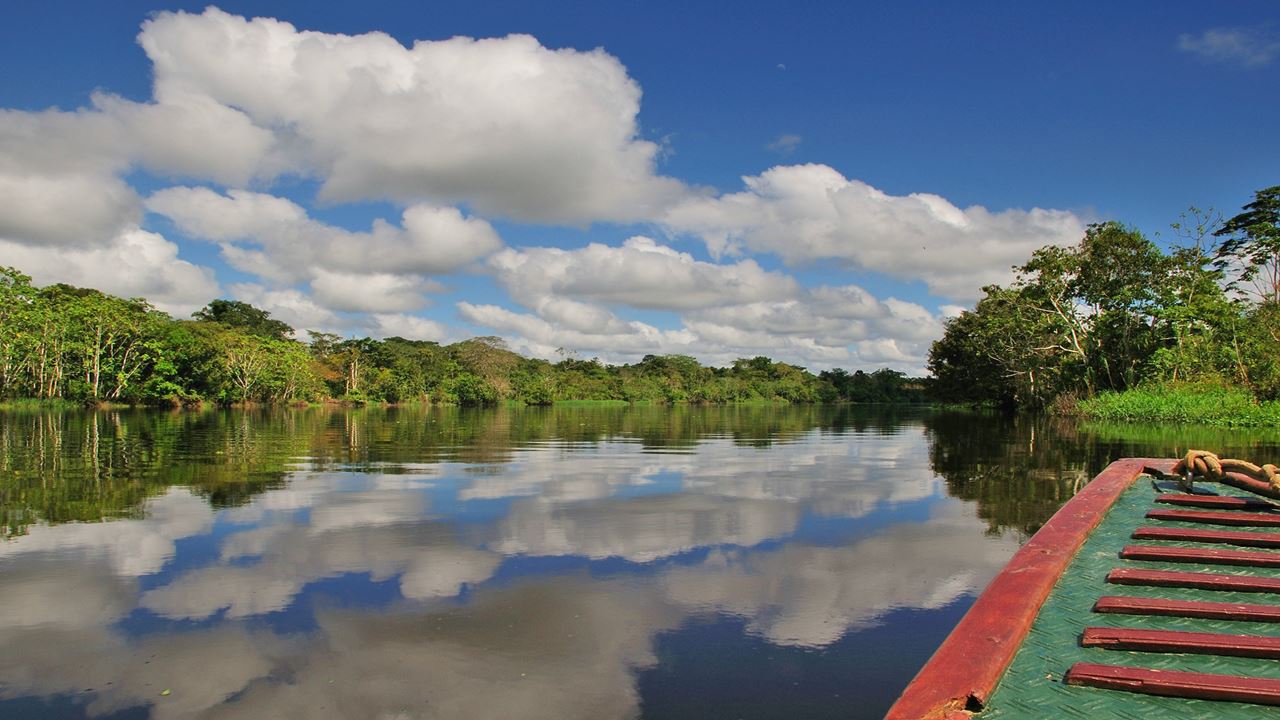 Viaje Al Pacaya Samiria Amazon Lodge foto 6