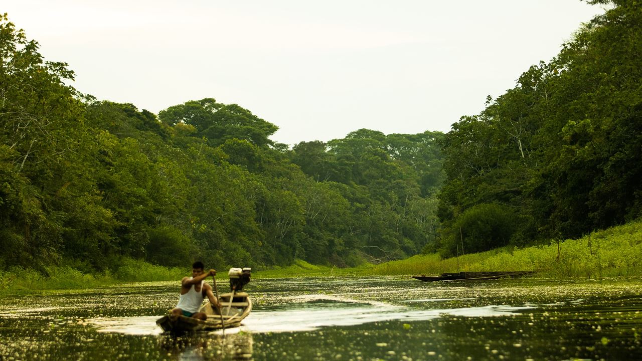 Viaje Al Pacaya Samiria Amazon Lodge foto 4