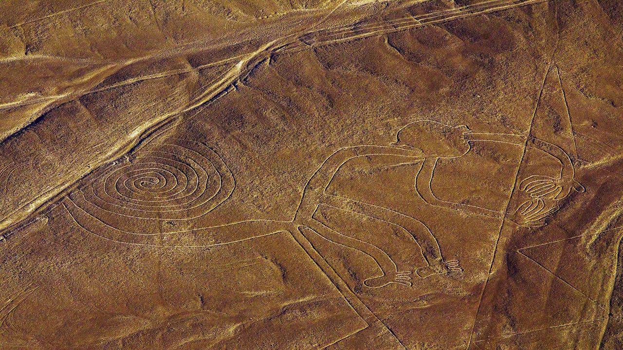 Tour A Líneas De Nazca foto 3