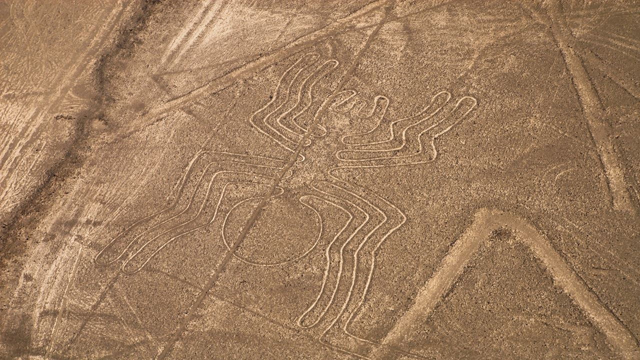 Tour A Líneas De Nazca foto 8