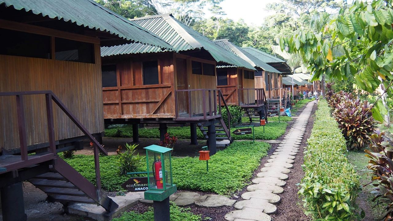 Aventure Dans La Jungle De Tambopata foto 8
