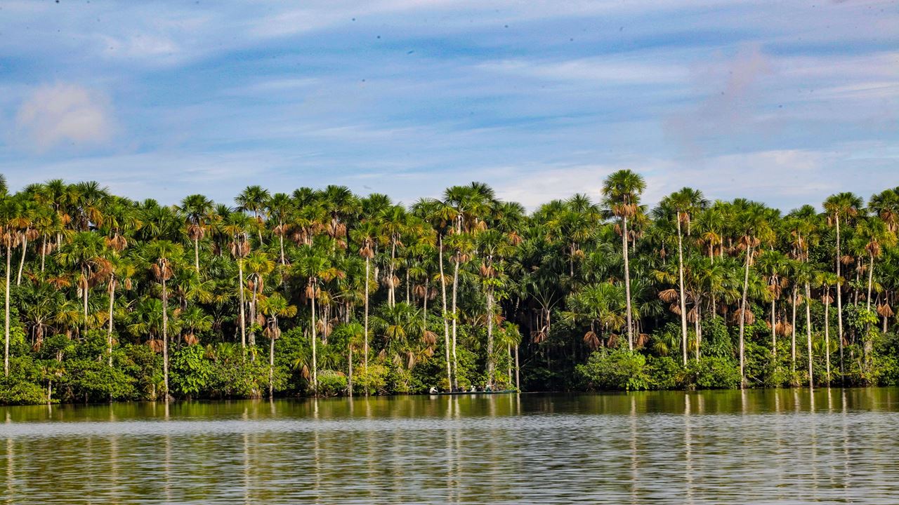 Aventure Dans La Jungle De Tambopata foto 2