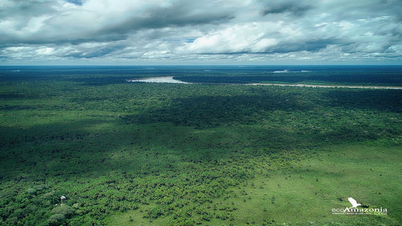 Aventure Dans La Jungle De Tambopata foto 9