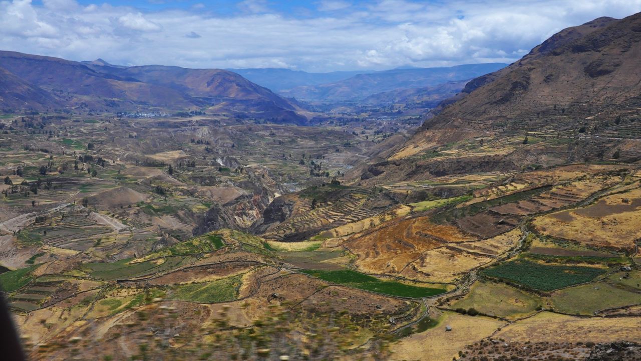 Trekking En El Cañon Del Colca foto 9