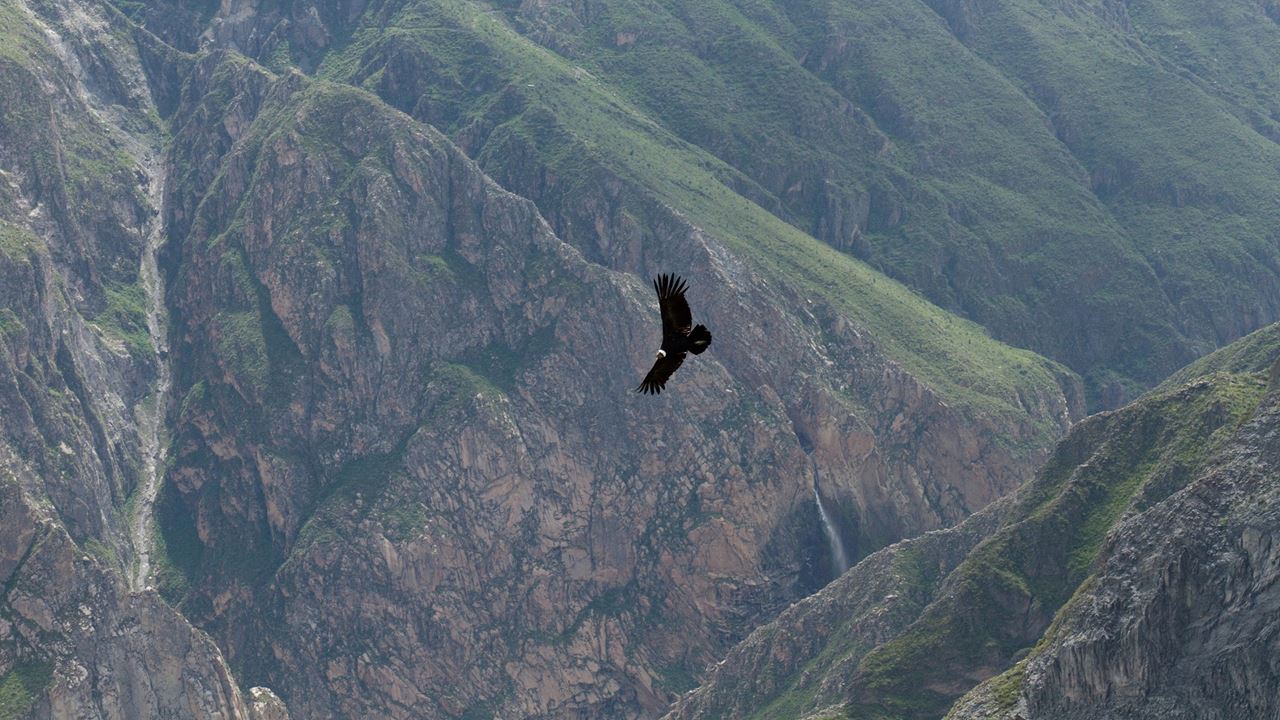 Trekking En El Cañon Del Colca foto 7