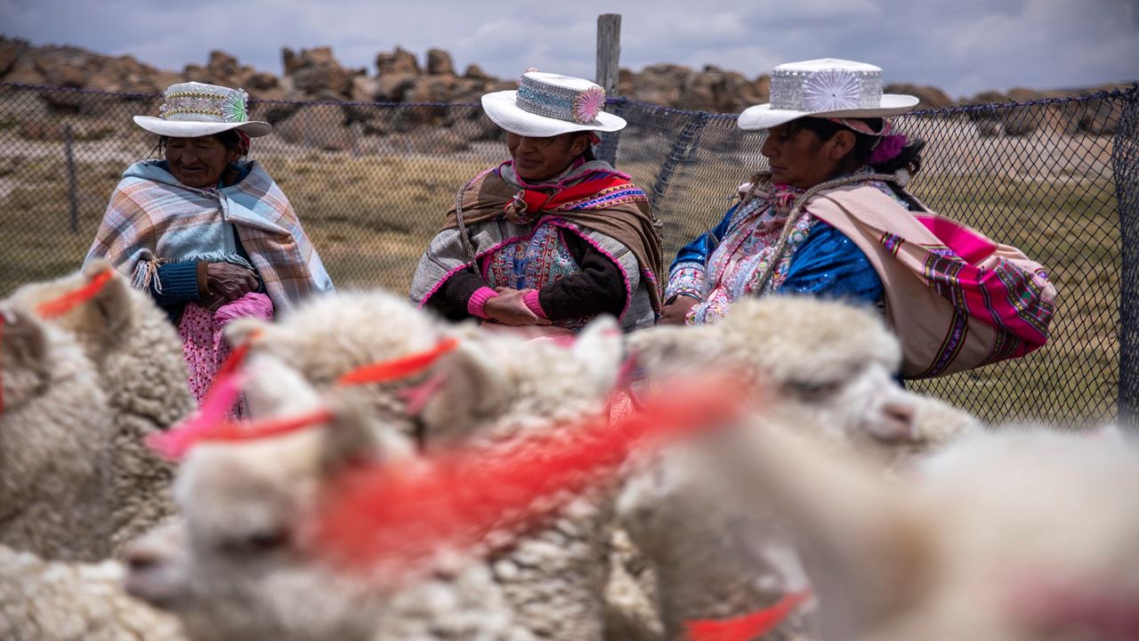 Trekking En El Valle Del Colca foto 4
