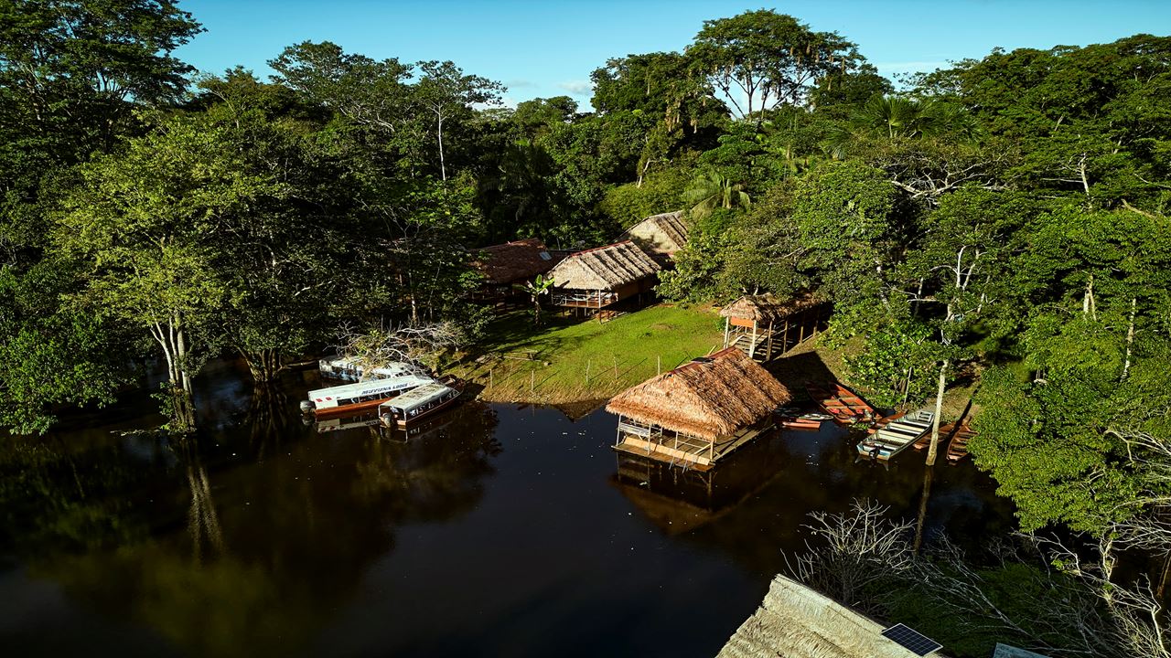 Ecolodge En La Reserva Tamshiyacu Tahuayo foto 9