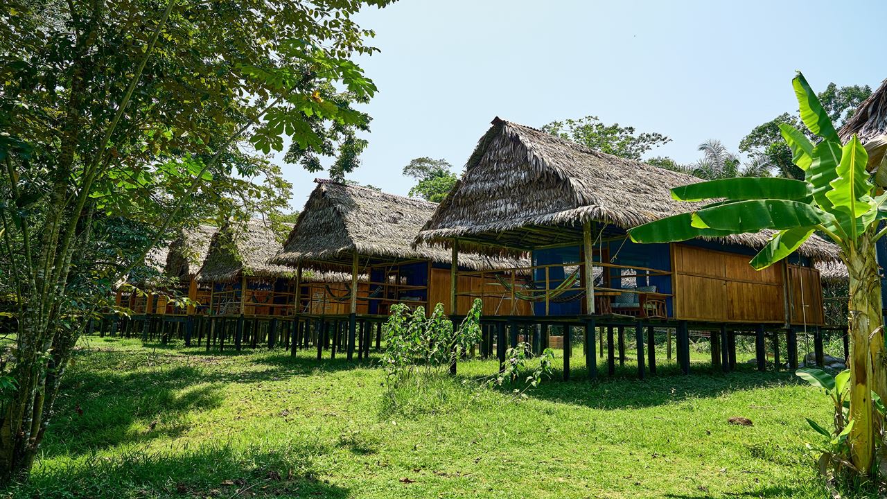 Ecolodge En La Reserva Tamshiyacu Tahuayo foto 1