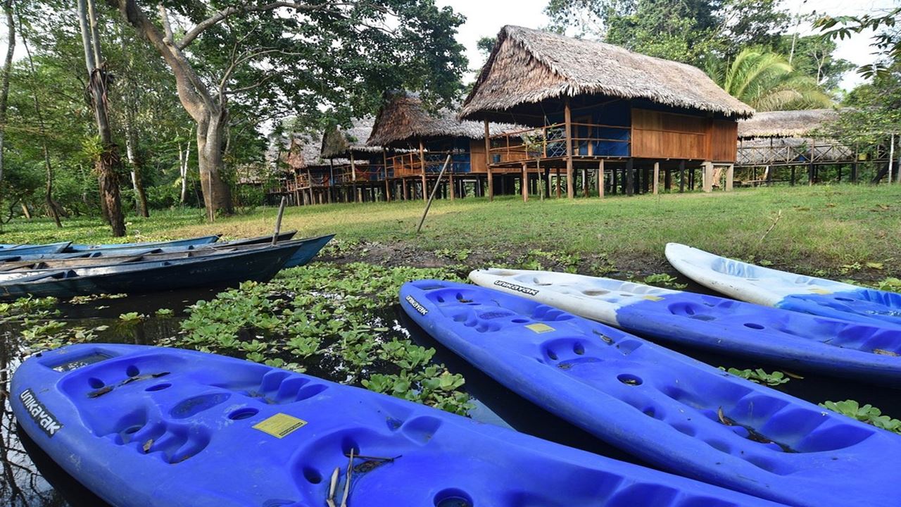 Reserva Tamshiyacu Tahuayo Amazon Lodge foto 4
