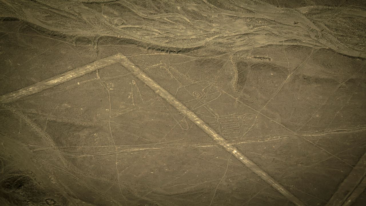 Nazca Lines & Ballestas Islands foto 11