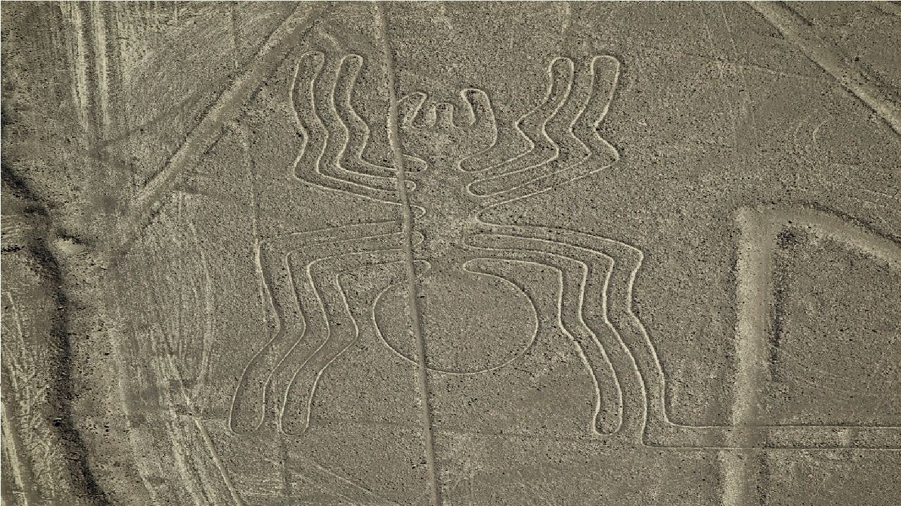 Nazca Lines & Ballestas Islands foto 7