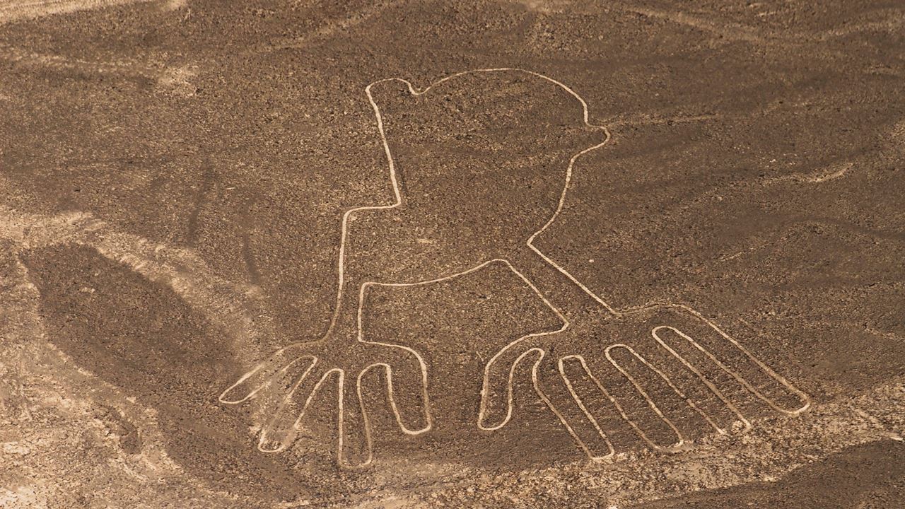 Nazca Lines & Ballestas Islands foto 6