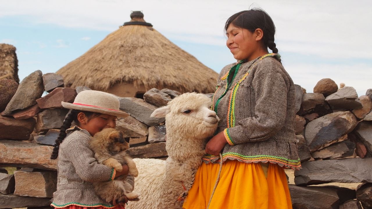 Puno Clasico foto 4