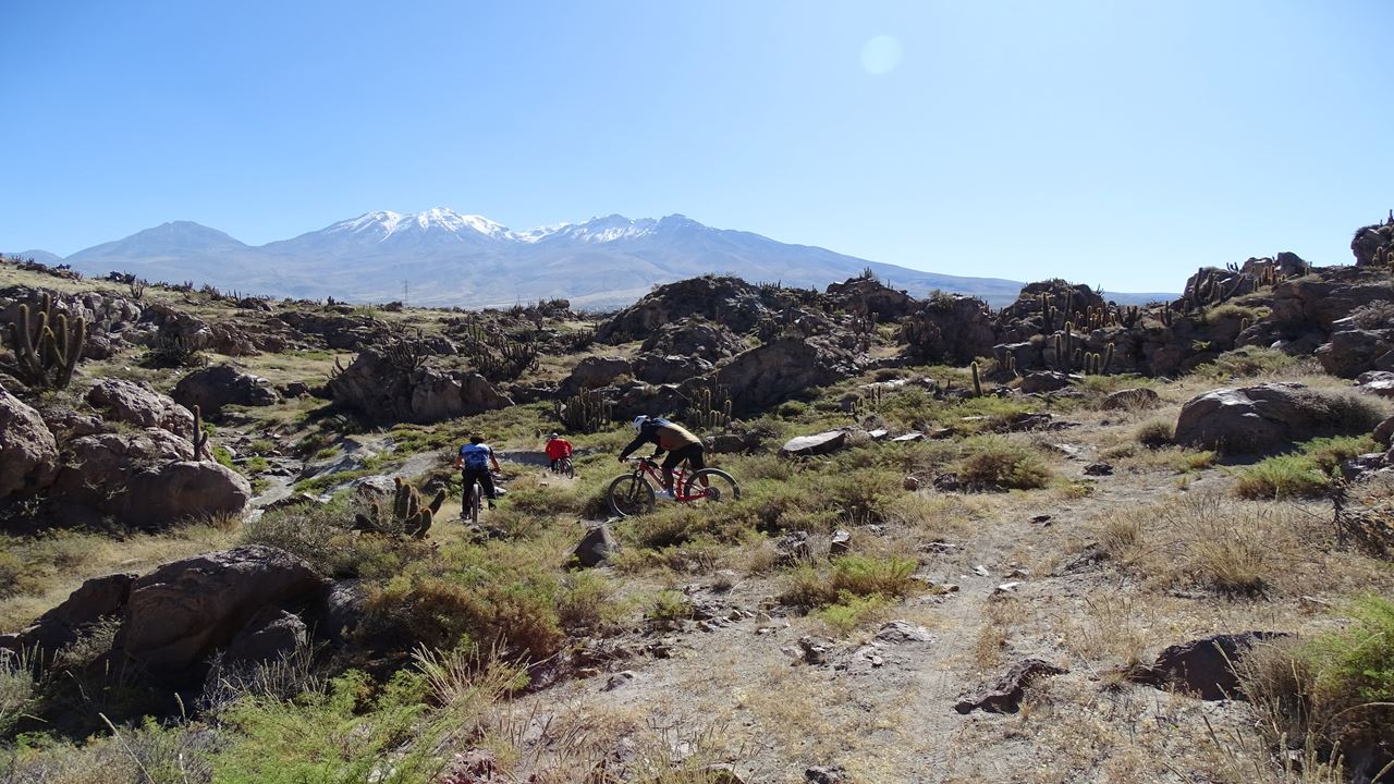 Passeio De Bicicleta Pelo Parque Las Rocas E Vale Chilina foto 1