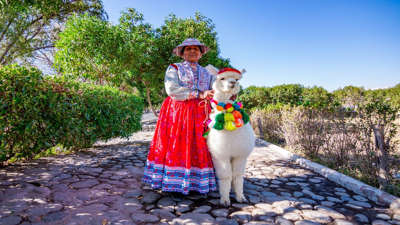 Arequipa Essencial E Cânion Colca foto 7