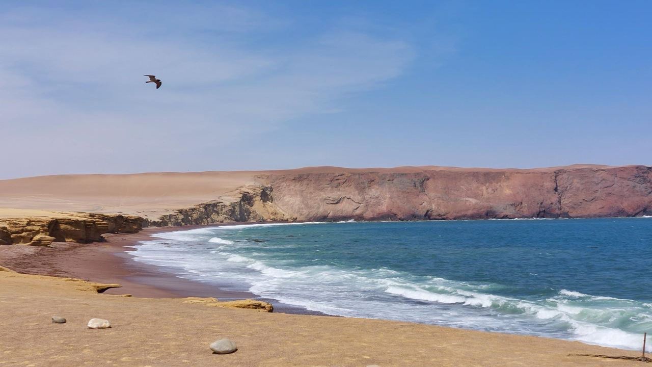 Tour Reserva Nacional foto 11